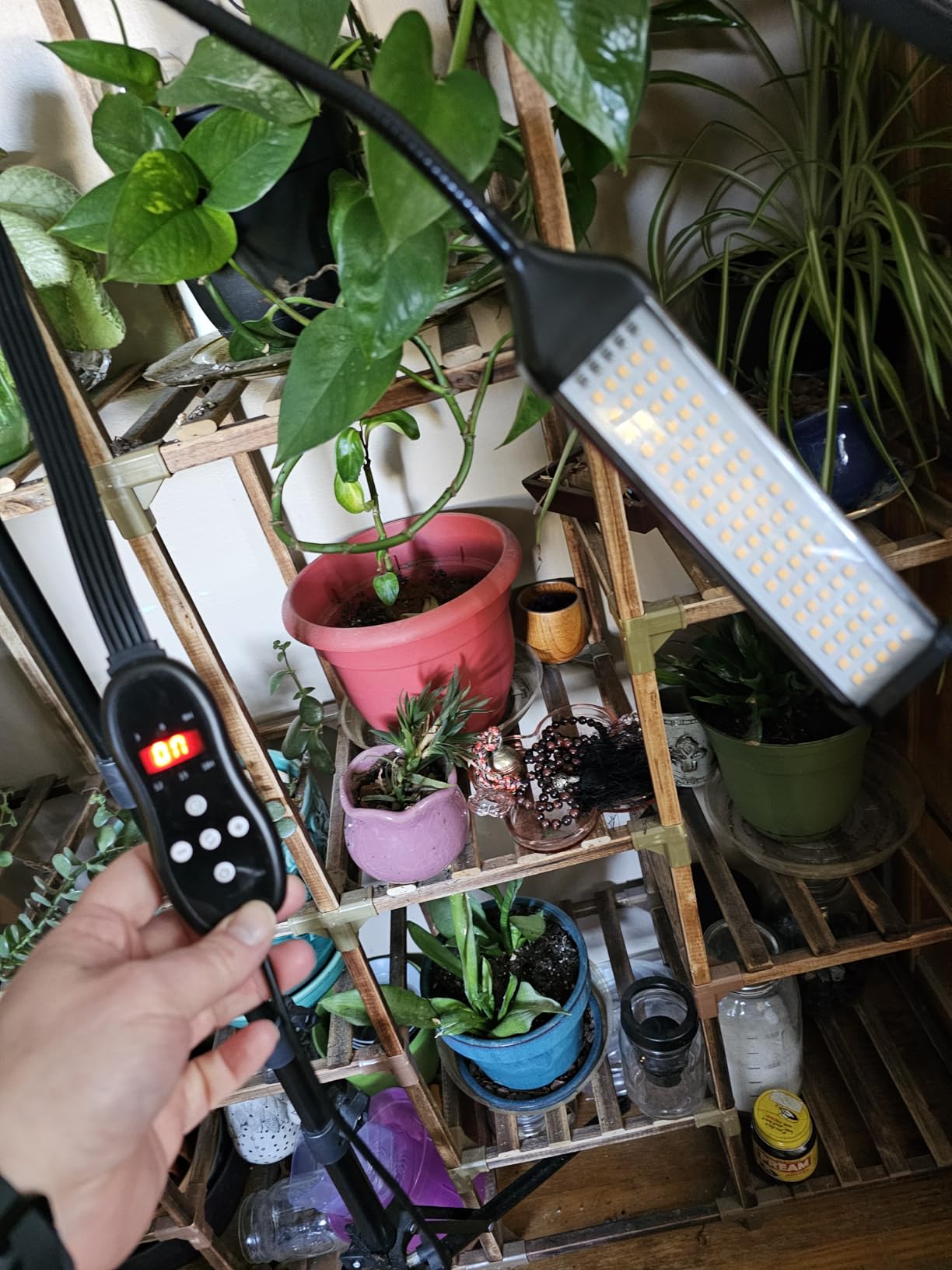 8-in-1 [800 LEDs] Tall Plant Grow Lights for Indoor Plants Full Spectrum, Wide Coverage Plant Lights for Indoor Growing with 4/8/12H Timer, Indoor LED Grow Light for All Growth Stages. customer photo 2