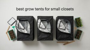 best grow tents for small closets
