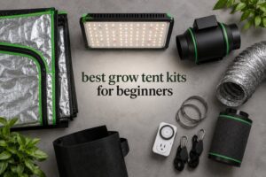 best grow tent kits for beginners
